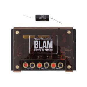 Изображение продукта BLAM FILTRE WM SUPERC - пассивный 3 полосный кроссовер - 3