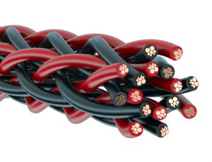 Изображение продукта KIMBER KABLE 8PR-2.5m - акустический кабель SBAN-SBAN (пара) - 2