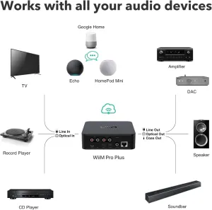 Изображение продукта WiiM Pro Plus - сетевой Hi-Res аудио проигрыватель - 11