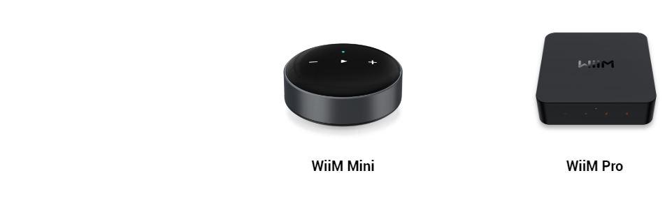Wiim pro купить. WIIM Mini. WIIM Pro.